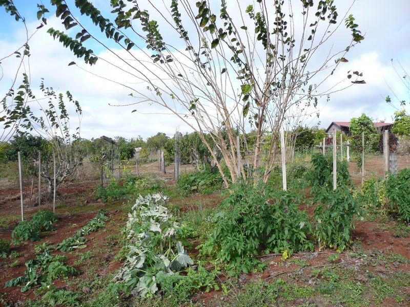 Tolga QLD 4882