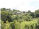 25 Park Avenue, Yungaburra QLD 4884