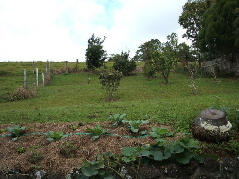 Malanda QLD 4885