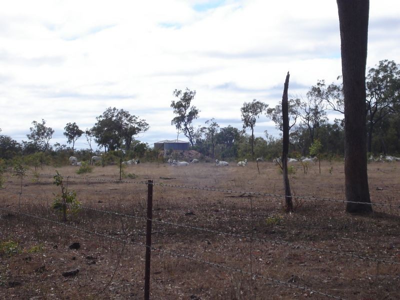 Mount Garnet QLD 4872