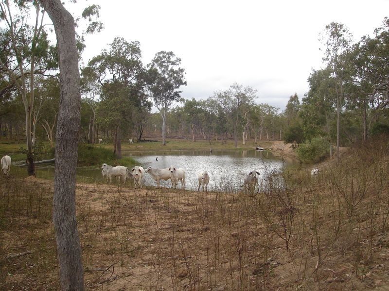 Mount Garnet QLD 4872