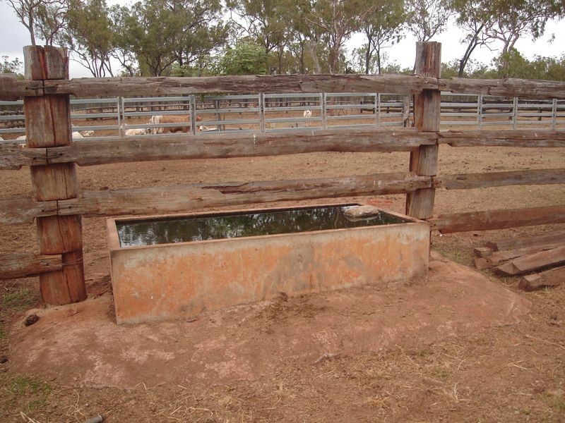 Mount Garnet QLD 4872