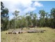 Wondecla QLD 4887