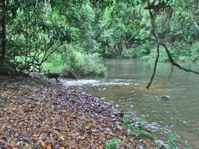 Millaa Millaa QLD 4886