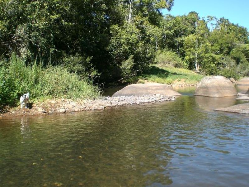 Millaa Millaa QLD 4886