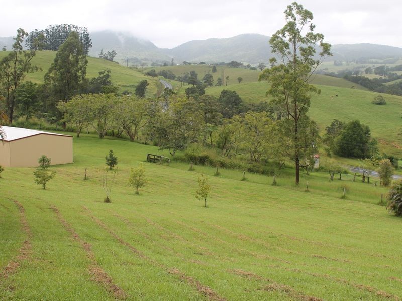 Millaa Millaa QLD 4886