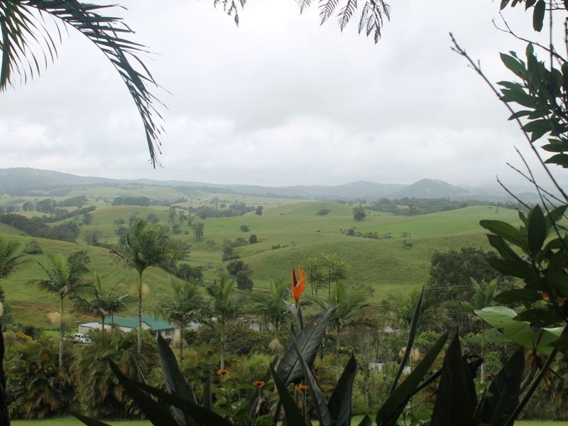 Millaa Millaa QLD 4886