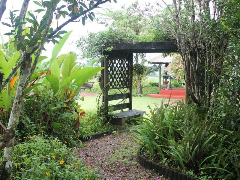 Millaa Millaa QLD 4886