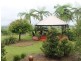Millaa Millaa QLD 4886