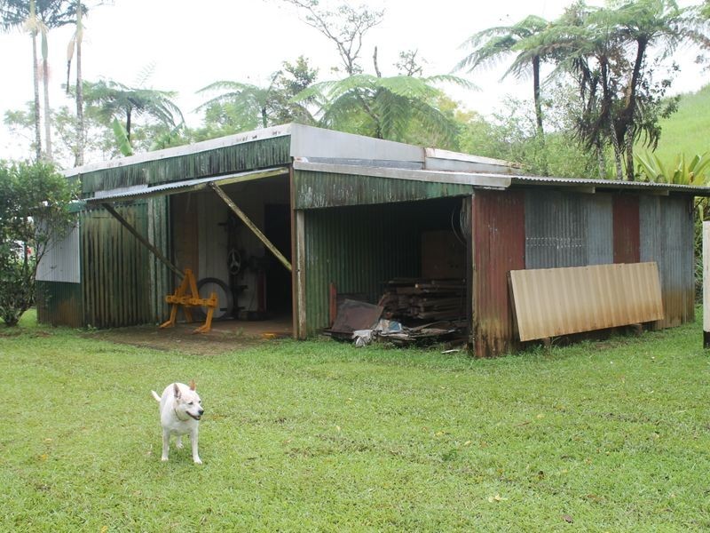 Millaa Millaa QLD 4886