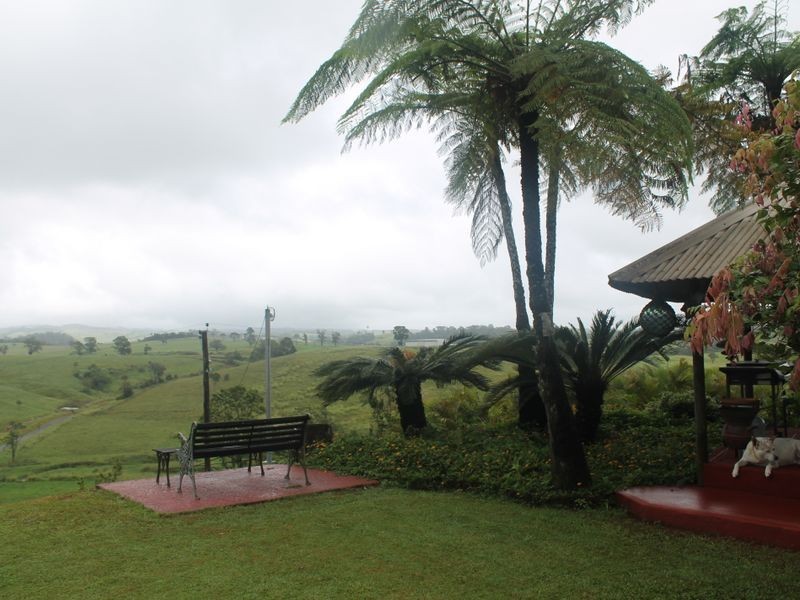 Millaa Millaa QLD 4886