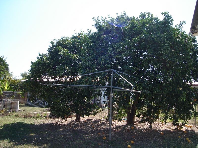 Dimbulah QLD 4872