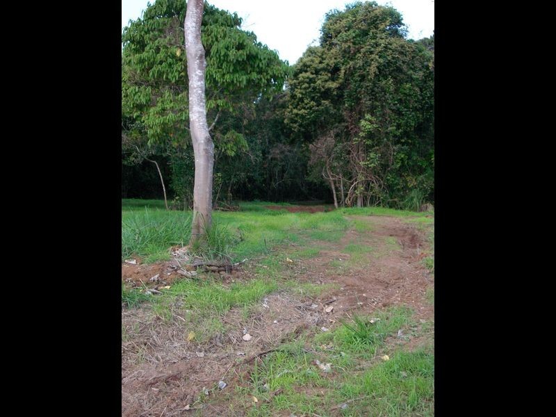 Yungaburra QLD 4884