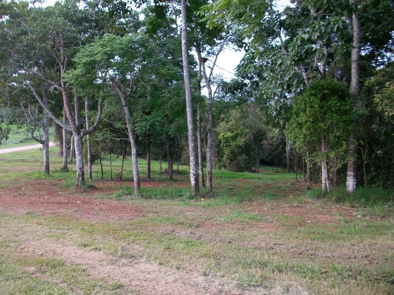 Yungaburra QLD 4884