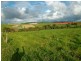 Malanda QLD 4885