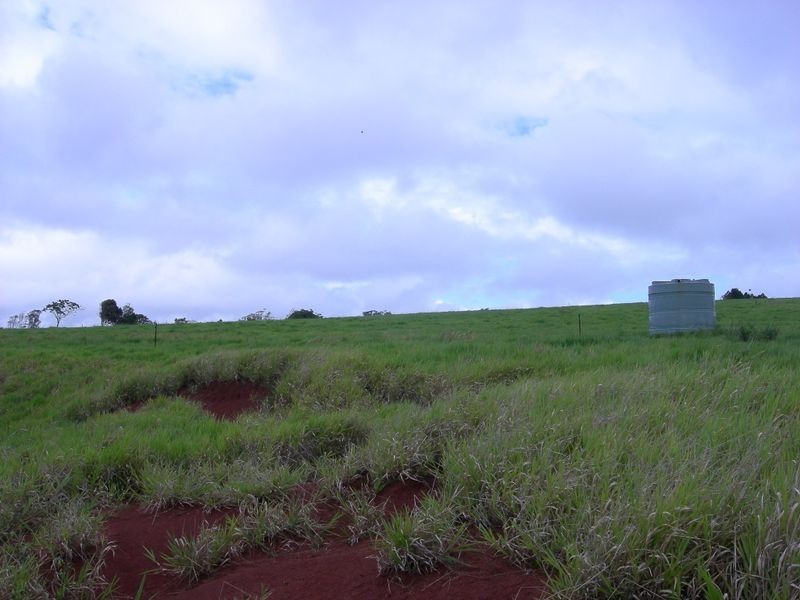 Malanda QLD 4885