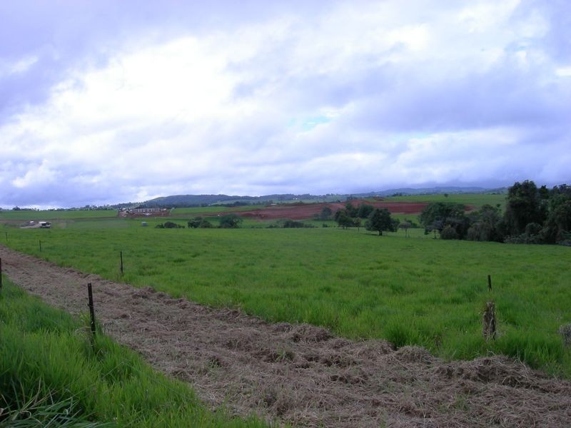 Malanda QLD 4885