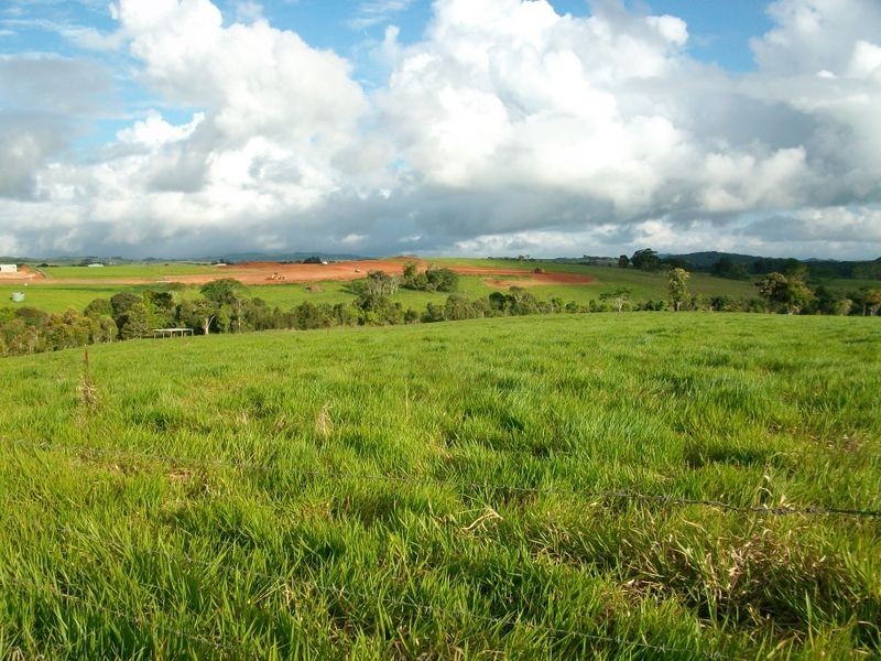 Malanda QLD 4885