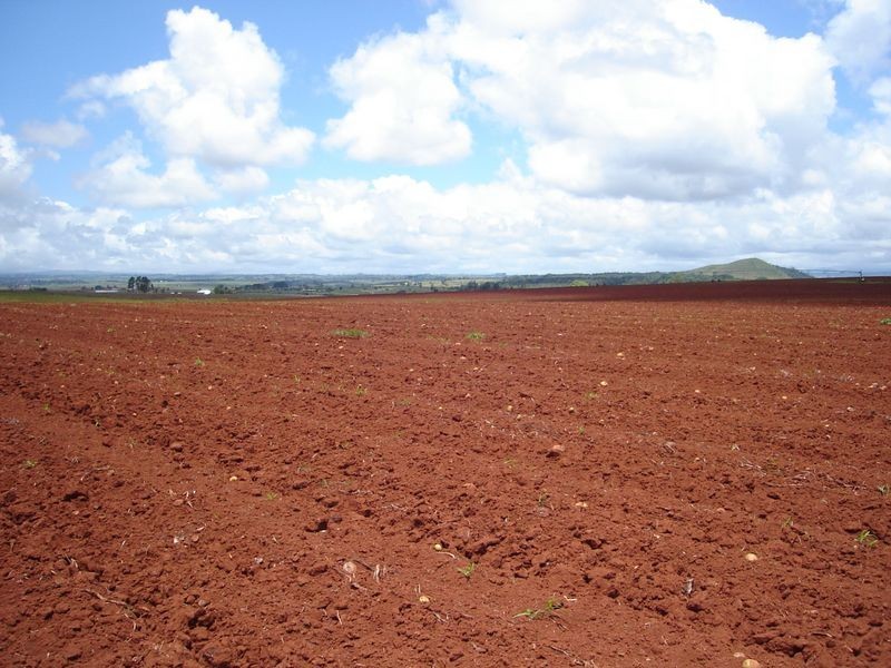 Atherton QLD 4883