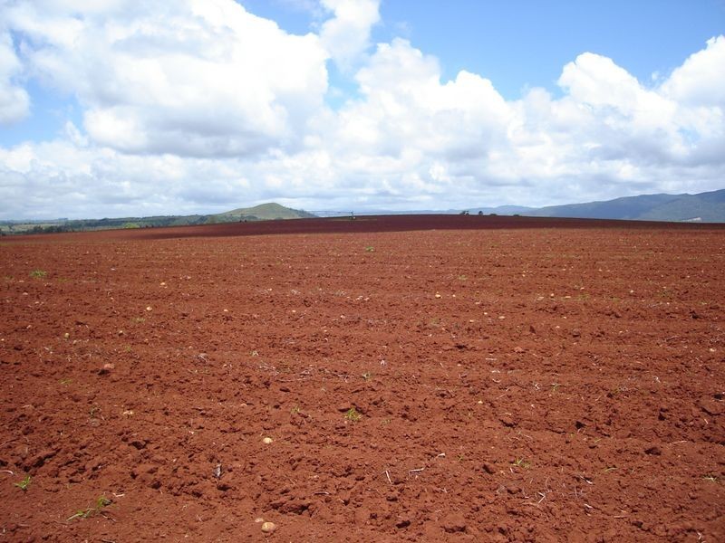 Atherton QLD 4883