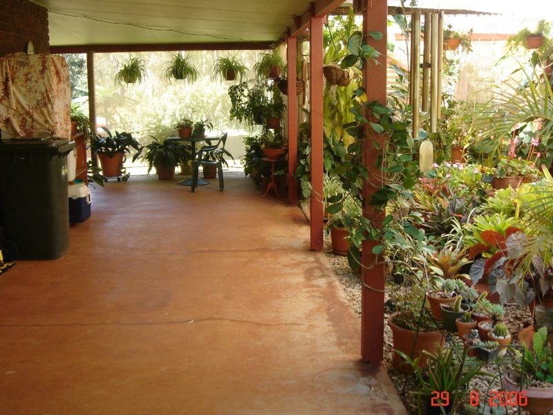 Wondecla QLD 4887
