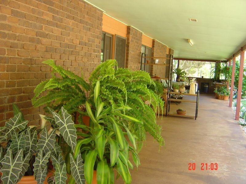Wondecla QLD 4887