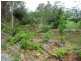 Wondecla QLD 4887