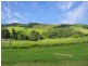 Millaa Millaa QLD 4886