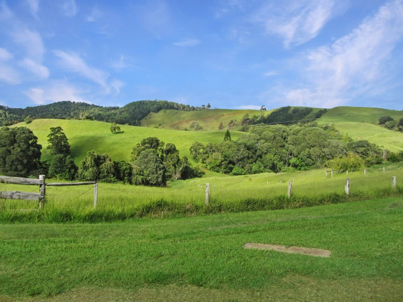 Millaa Millaa QLD 4886