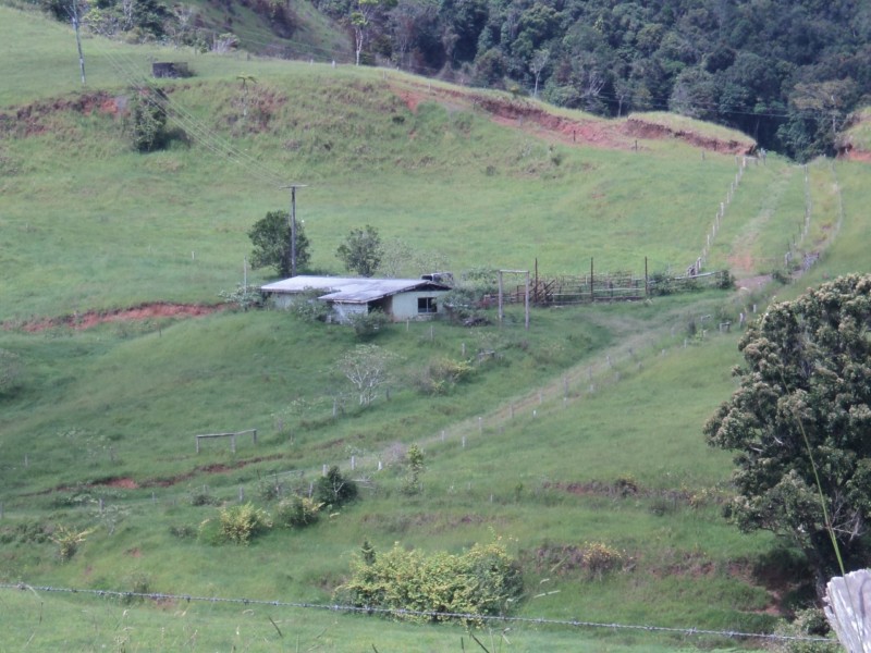 Millaa Millaa QLD 4886