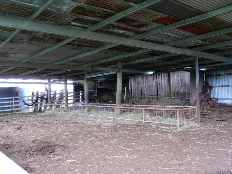 Millaa Millaa QLD 4886