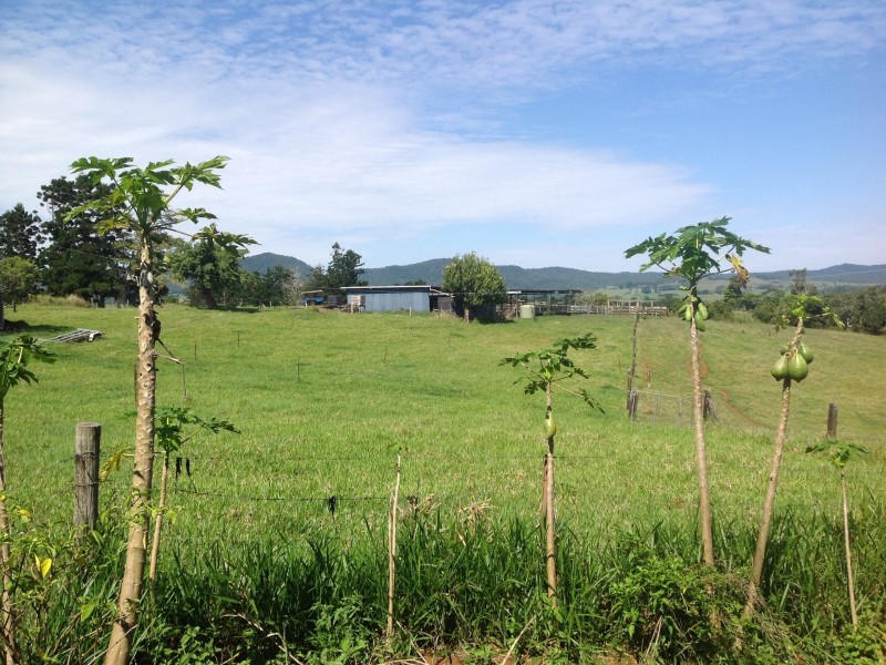 Millaa Millaa QLD 4886