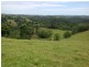 Millaa Millaa QLD 4886