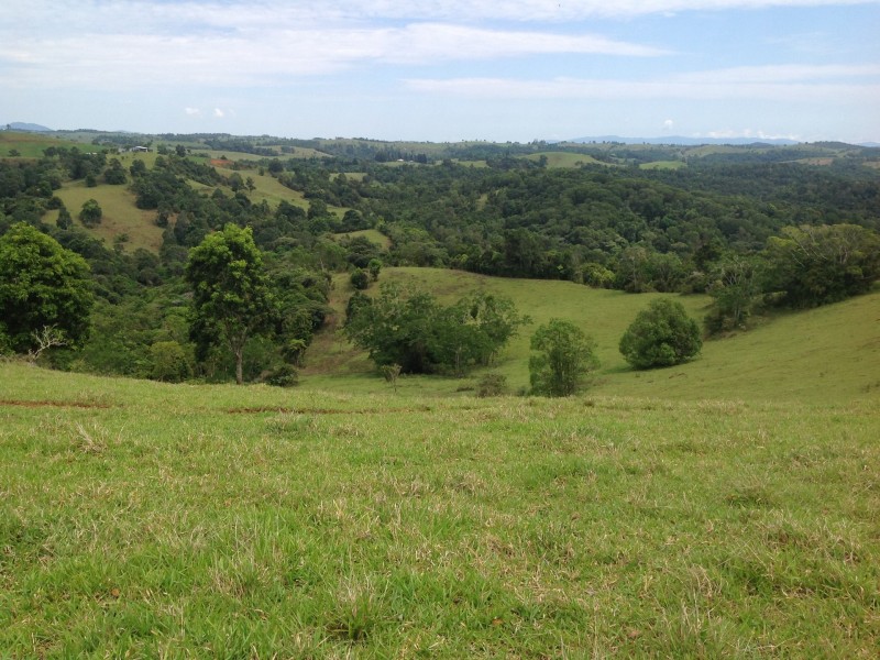 Millaa Millaa QLD 4886