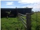 Millaa Millaa QLD 4886