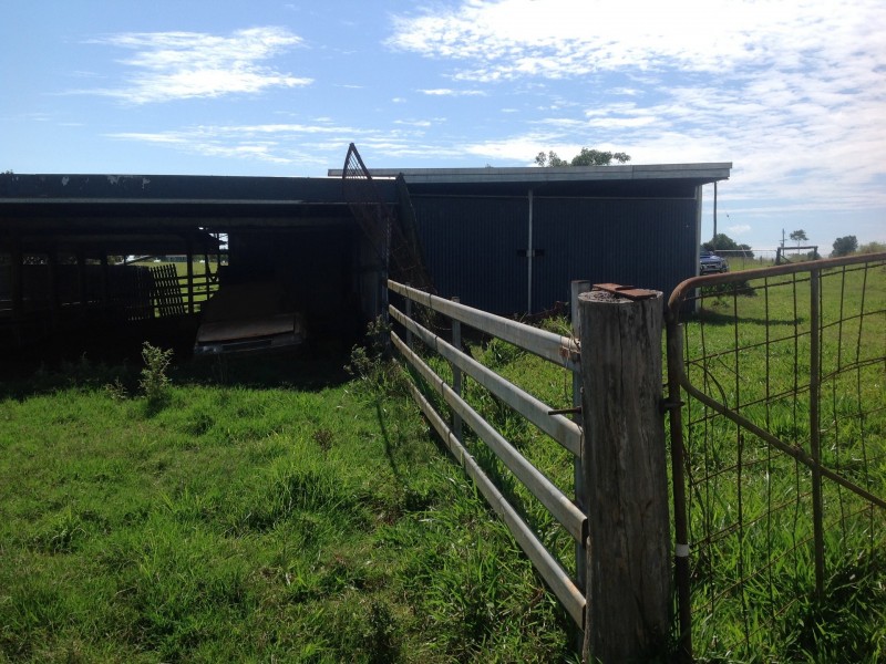 Millaa Millaa QLD 4886