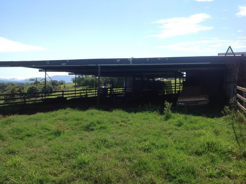 Millaa Millaa QLD 4886