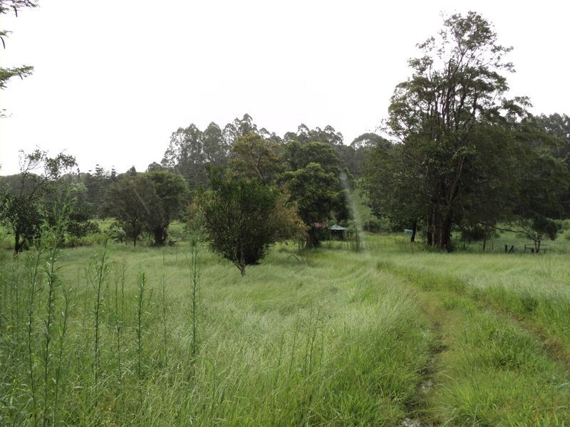 38 Adams Road, Dimbulah QLD 4872
