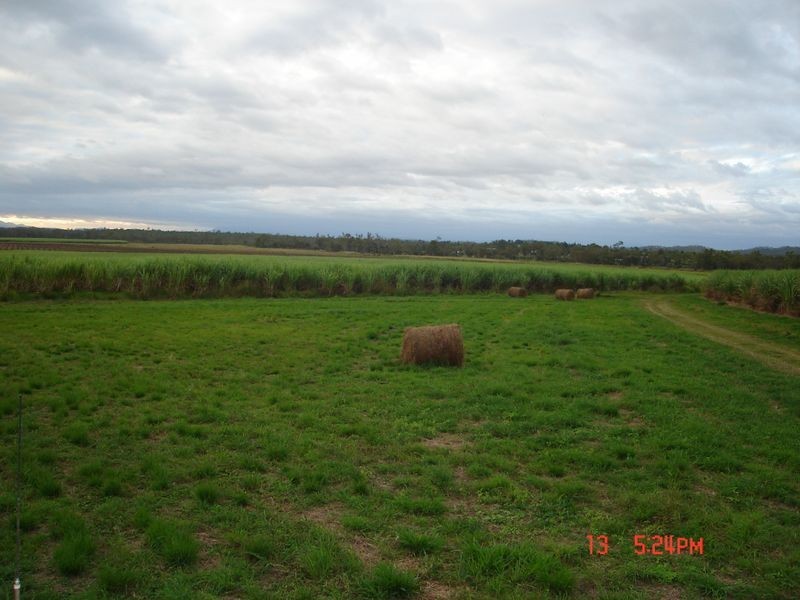 Mareeba QLD 4880