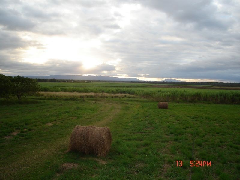 Mareeba QLD 4880