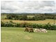 Peeramon QLD 4885