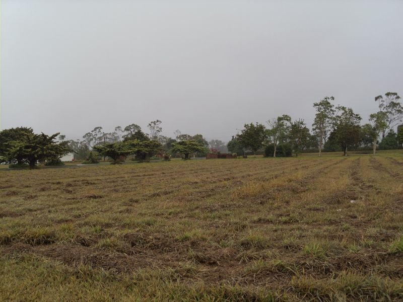 Tolga QLD 4882