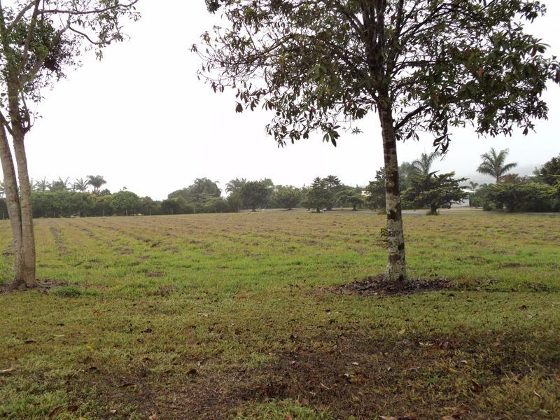 Tolga QLD 4882