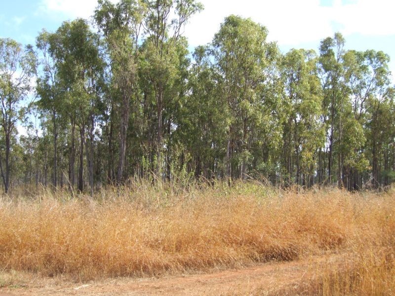 Mareeba QLD 4880