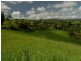 Millaa Millaa QLD 4886