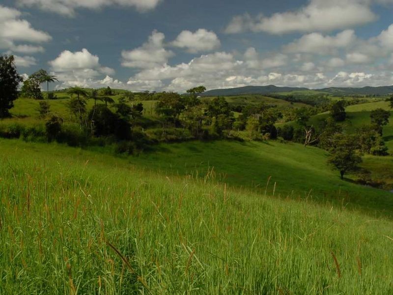 Millaa Millaa QLD 4886