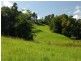 Millaa Millaa QLD 4886