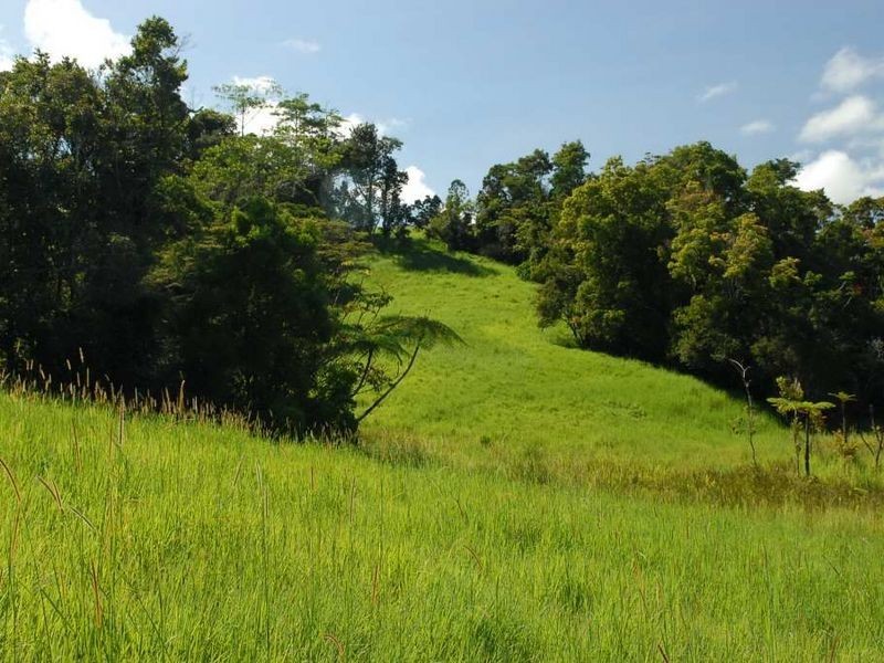 Millaa Millaa QLD 4886