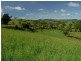 Millaa Millaa QLD 4886
