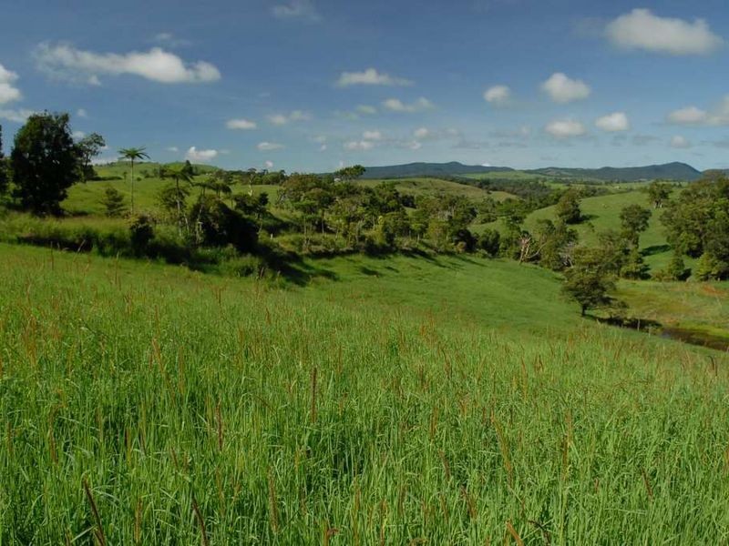 Millaa Millaa QLD 4886
